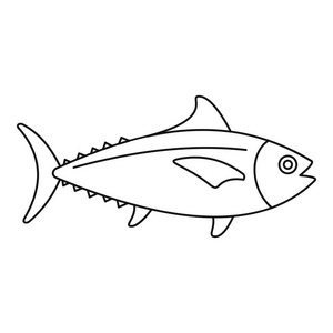 一只手绘制的一条金枪鱼画的矢量涂鸦插图金枪鱼白底金枪鱼特写就头