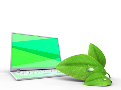 绿色的叶子的笔记本电脑