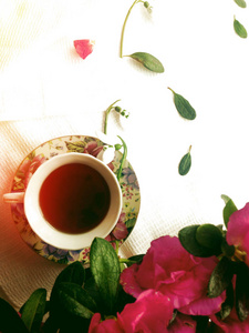 热茶和粉红色杜鹃花花平躺