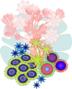 Clavularia，抽花粉直感，zoanthus软珊瑚