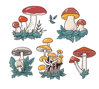 卡通蘑菇和毒菌