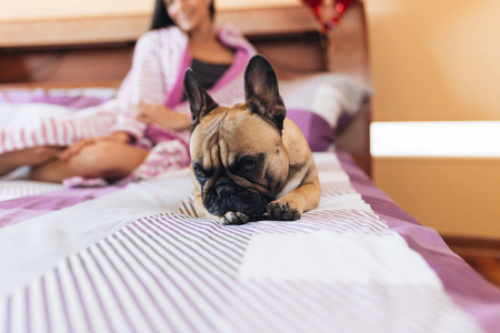 迷人的年轻女子在床上享受与她的法国斗牛犬宠物