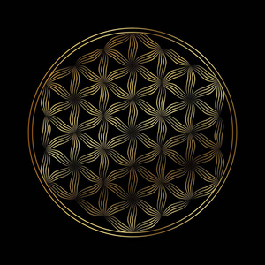 生命之花矢量图标照片