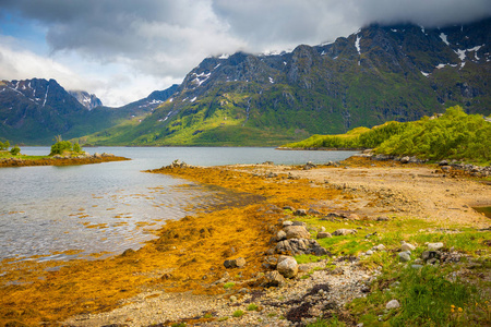 美丽的自然风景在罗弗敦群岛, 挪威