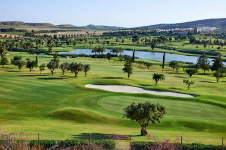 高尔夫球场华丽绿色与池塘。Algorfa，西班牙