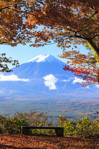 日本富士山与漂亮的黄色颜色秋天的季节