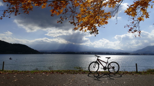 日本河口湖美丽的秋天风景和背景，