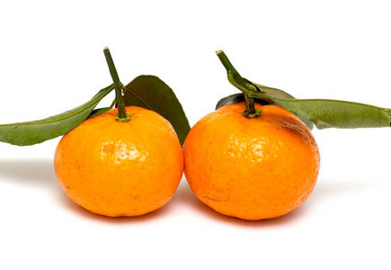 分离出的白色背景上的橘子