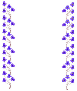紫罗兰的五颜六色的花束