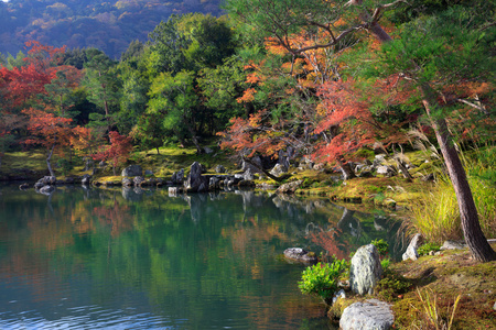 禅意花园的天龙寺