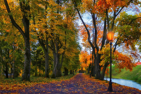 秋天自然的美丽色彩风景照片