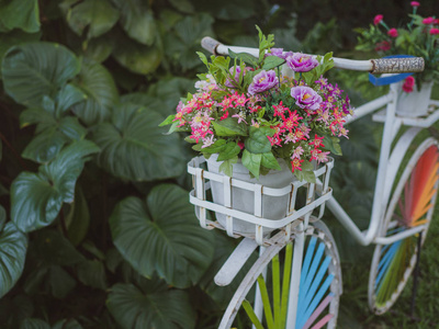 白色的老式自行车与五颜六色的车轮和五颜六色的花朵在白色的壶在绿色的草地与热带棕榈树叶在花园。公园装饰