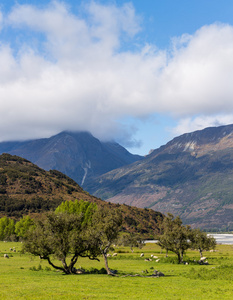 bergslandskap i Nya Zeeland在新西兰山风景