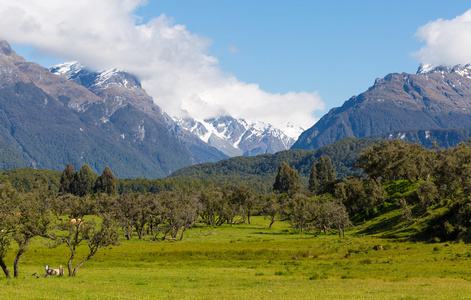 bergslandskap i Nya Zeeland在新西兰山风景