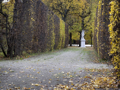 维也纳森林图片