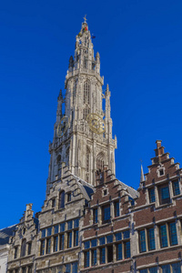 在阳光明媚的日子, 我们夫人的安特卫普大教堂塔在蓝天上。安特卫普。比利时