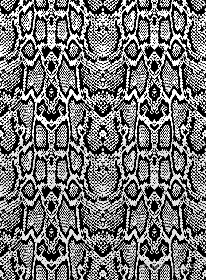 蛇蟒蛇皮肤纹理.黑色白色背景上的无缝模式