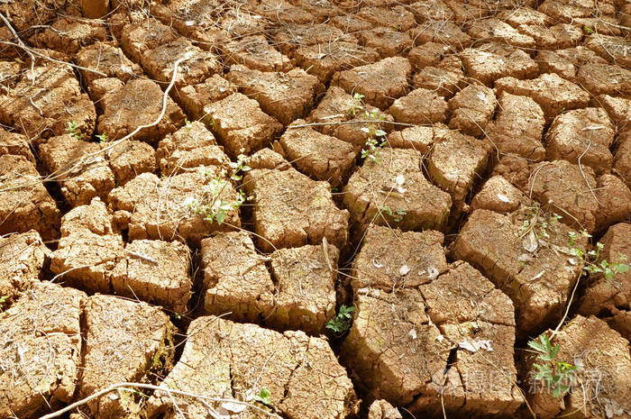 干旱土地地进入旱季干旱地面开裂没有热水缺水干旱季节的裂缝土壤