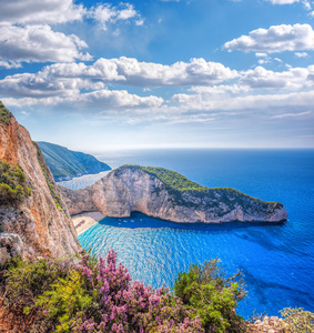 Navagio 海滩与沉船和日落在希腊扎金索斯岛上鲜花