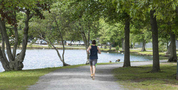 一只雄性正在一个湖边慢跑, 戴着耳机在一条砾石小径上围着树和鸟.