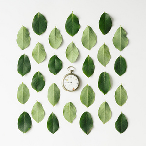 绿色树叶图案和老式手表