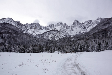 冬日雪山山顶景观