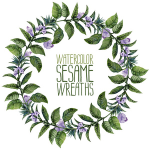 芝麻花图片-芝麻花素材-芝麻花插画-摄图新视界