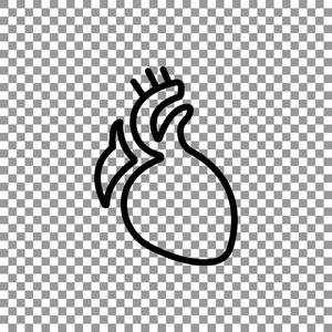图标的心脏器官