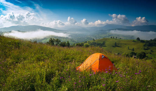 野营帐篷在夏天草甸与许多花在山谷。清晨