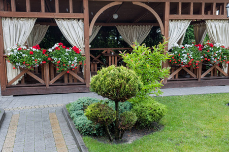 小花园和独特的植物.景观设计照片