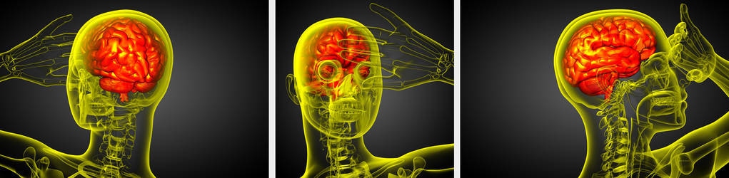 3d 渲染医学插图的大脑