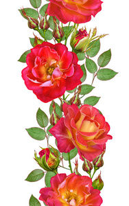 大黄色花图片-大黄色花素材-大黄色花插画-摄图新视界