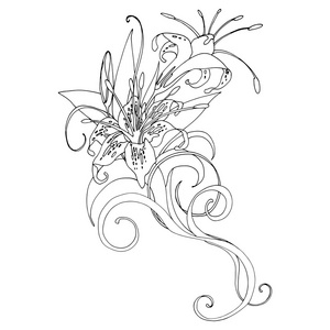 百合花休眠图图片