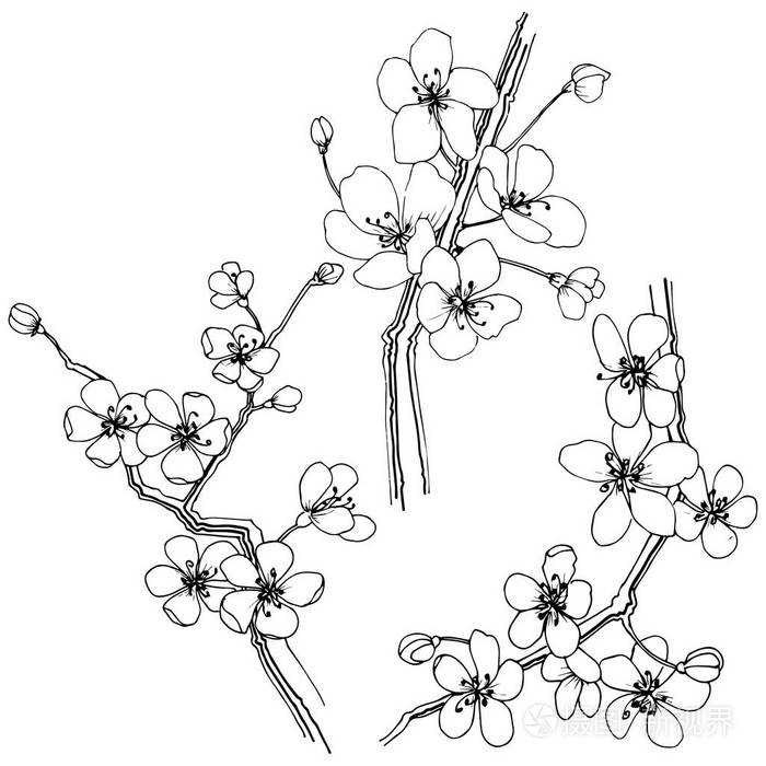 樱花平面图例图片