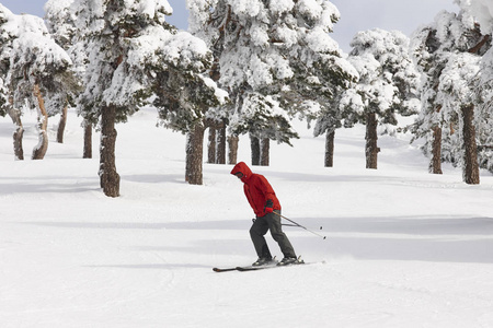 滑雪在美丽的雪森林风景。冬季运动。水平