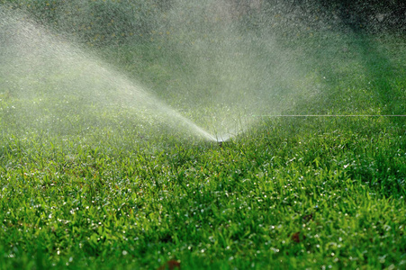 园林灌溉系统喷雾浇水草坪照片