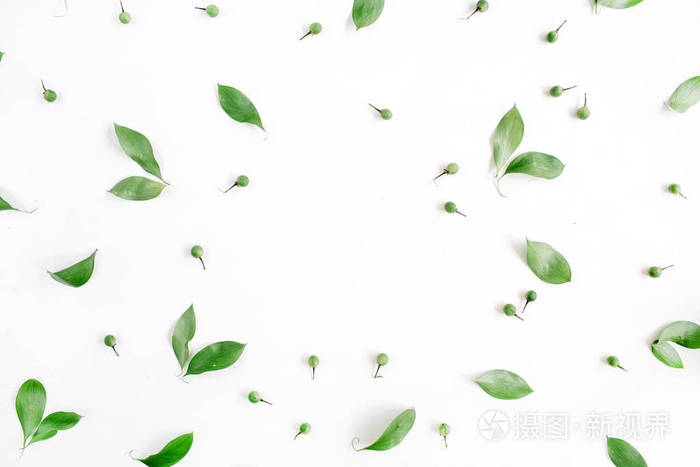 白色背景上绿色的叶子图案照片-正版商用图片0pv83p-摄图新视界