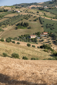 在阿布鲁佐连绵起伏的丘陵上橄榄树林和农场的全景图