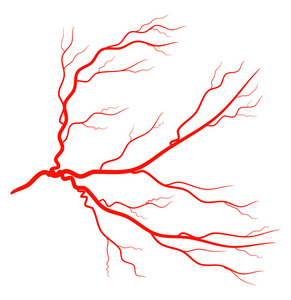 红了眼静脉矢量符号图标设计