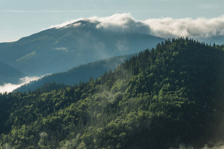 查看在有雾的山脉。山风景