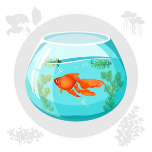 金鱼插画鱼缸里漂浮的金鱼矢量插画照片