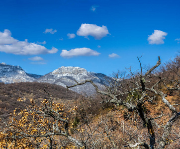 雪岭