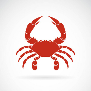 海鲜形白色背景下螃蟹的矢量.动物.蟹形图标照片