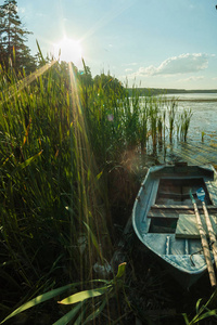 在农村的阳光明媚的一天, 在湖岸边的芦苇桨木船, 户外娱乐