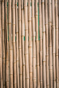 天然竹栅栏背景图案