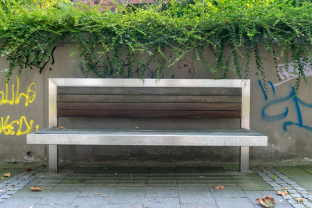 特写。长凳在街道和绿色灌木