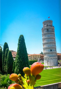 比萨和柏树的倾斜的塔, 棕榈树和明亮的红色夏天花在前景, 比萨, 托斯卡纳, 意大利