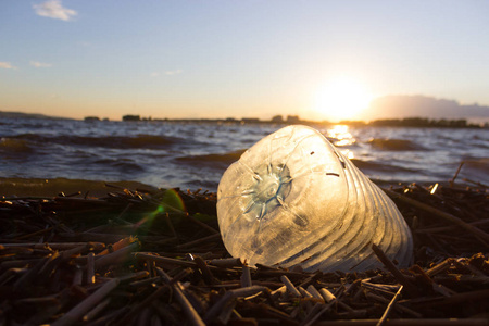 塑料水瓶污染海洋。瓶子的成本