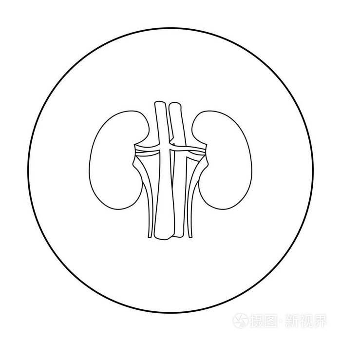 插画 肾在白色背景上孤立的大纲样式图标.器官象征股票矢量图.eps