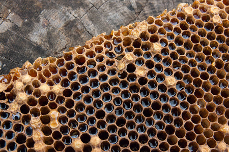 封闭的蜂窝与甜蜂蜜的看法。在老式木质背景下用甜蜂蜜制成的黄色蜂窝